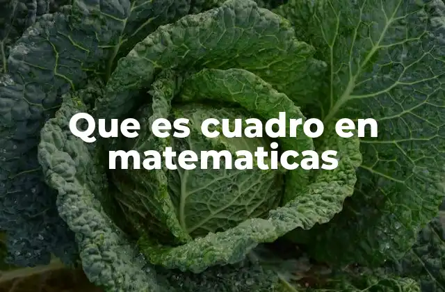 Que es Cuadro en Matematicas