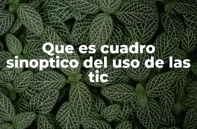 Que es Cuadro Sinoptico Del Uso de las Tic