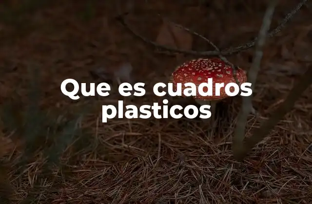 Que es Cuadros Plasticos