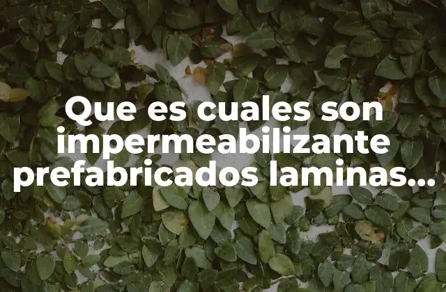 Que es Cuales Son Impermeabilizante Prefabricados Laminas y Rollos