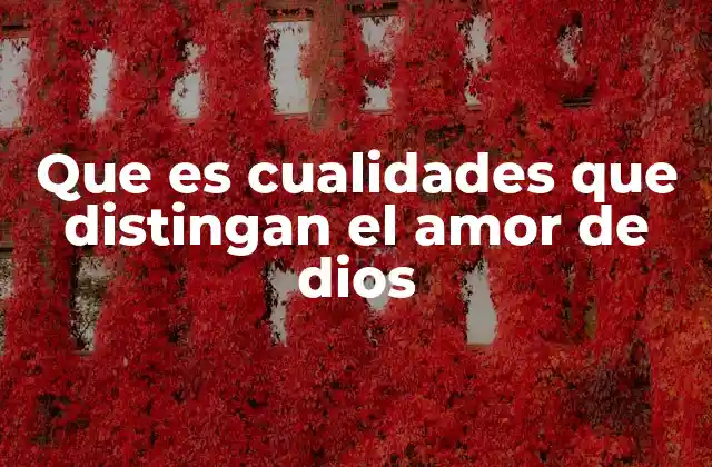 Que es Cualidades que Distingan el Amor de Dios