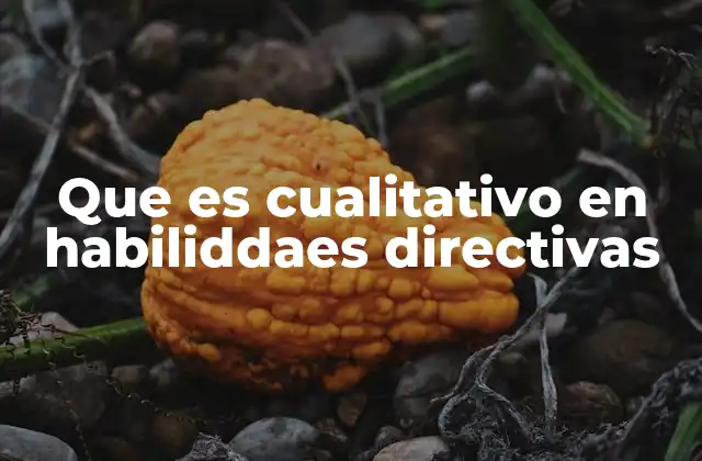 Que es Cualitativo en Habiliddaes Directivas
