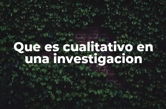Que es Cualitativo en una Investigacion