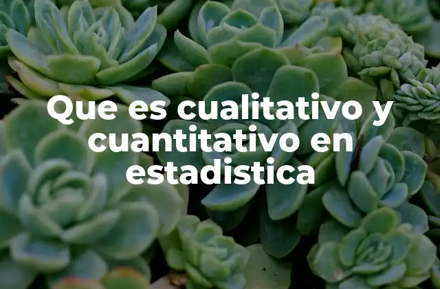 Que es Cualitativo y Cuantitativo en Estadistica