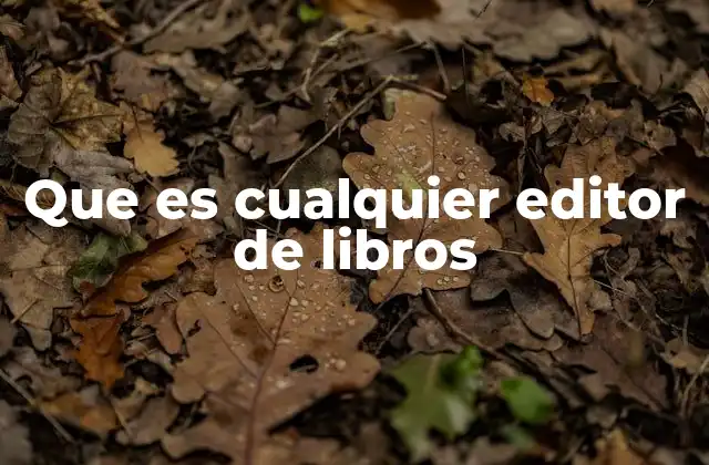 Que es Cualquier Editor de Libros
