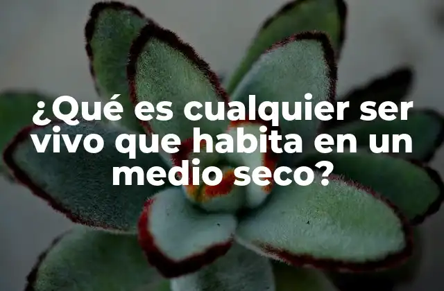 ¿qué es Cualquier Ser Vivo que Habita en un Medio Seco?