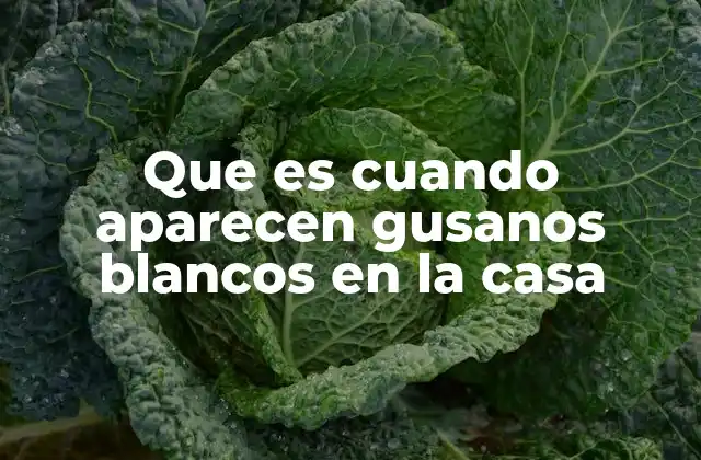 Que es Cuando Aparecen Gusanos Blancos en la Casa