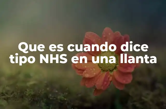 Que es Cuando Dice Tipo Nhs en una Llanta 2 Diferencias entre llantas NHS y llantas para uso en carretera