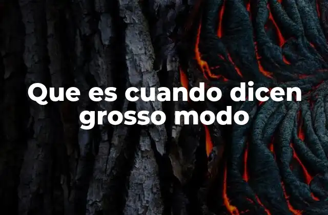 Que es Cuando Dicen Grosso Modo