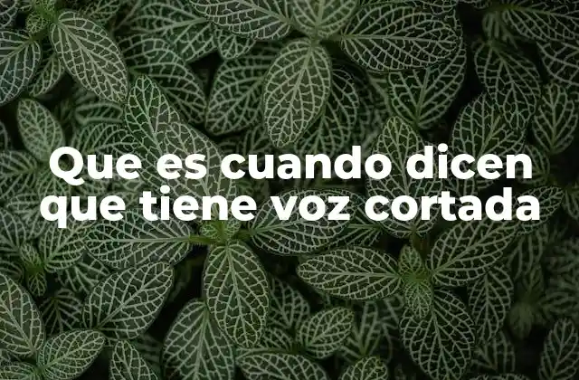 Que es Cuando Dicen que Tiene Voz Cortada 2 La relación entre la salud vocal y la expresión oral