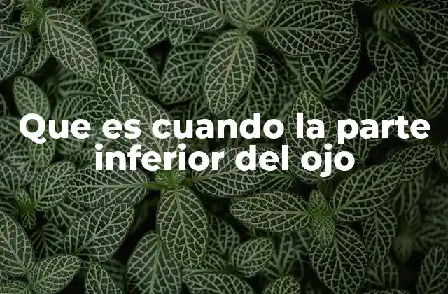 Causas comunes de alteraciones en la zona inferior del ojo
