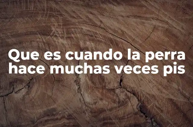 Factores que pueden influir en el comportamiento urinario de las perras