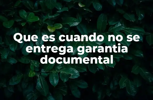 Que es Cuando No Se Entrega Garantia Documental