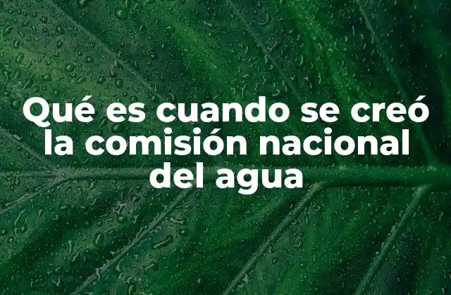 Qué es Cuando Se Creó la Comisión Nacional Del Agua