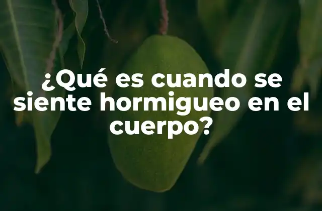 ¿qué es Cuando Se Siente Hormigueo en el Cuerpo?