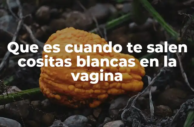 Que es Cuando Te Salen Cositas Blancas en la Vagina