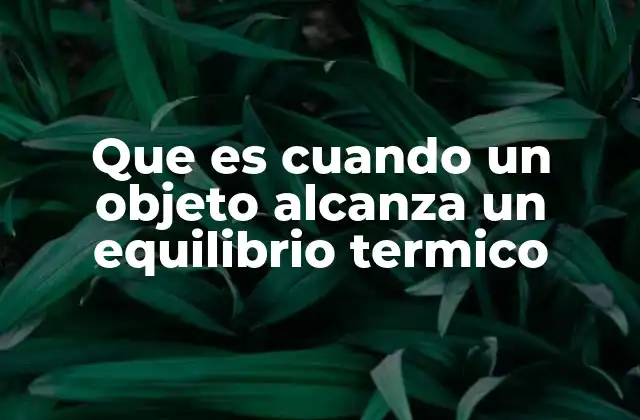 Que es Cuando un Objeto Alcanza un Equilibrio Termico