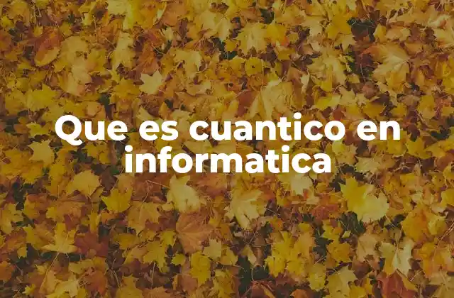 Que es Cuantico en Informatica