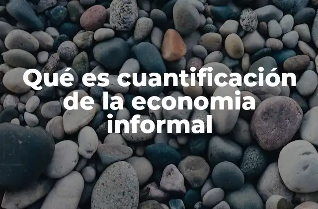 Qué es Cuantificación de la Economia Informal