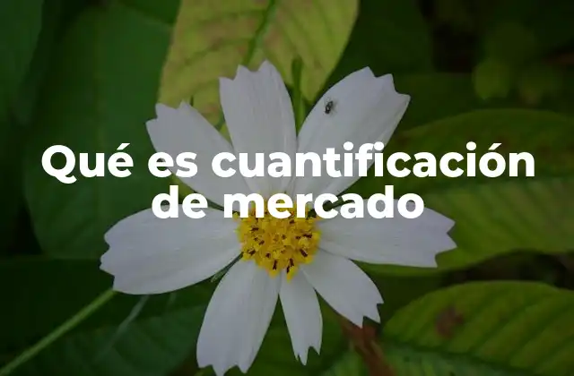 Qué es Cuantificación de Mercado