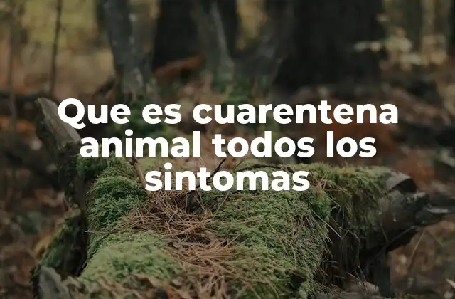 Que es Cuarentena Animal Todos los Sintomas