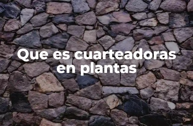 Que es Cuarteadoras en Plantas