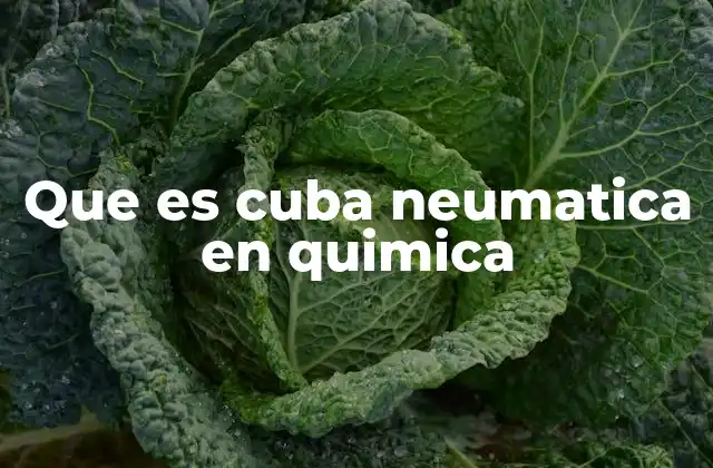 Que es Cuba Neumatica en Quimica