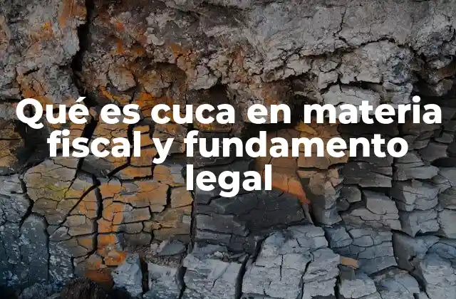 Qué es Cuca en Materia Fiscal y Fundamento Legal
