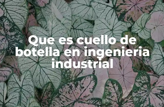 Que es Cuello de Botella en Ingenieria Industrial