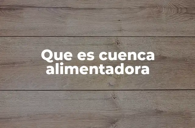 Que es Cuenca Alimentadora