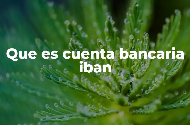 Que es Cuenta Bancaria Iban