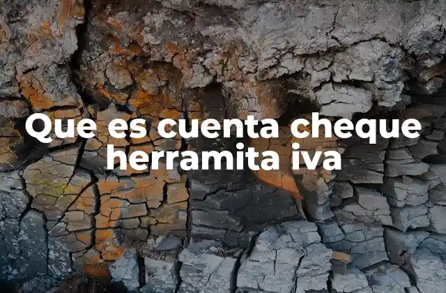 Que es Cuenta Cheque Herramita Iva