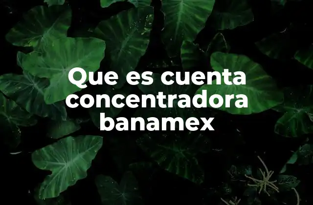 Que es Cuenta Concentradora Banamex