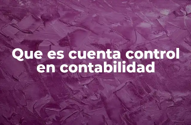 Que es Cuenta Control en Contabilidad