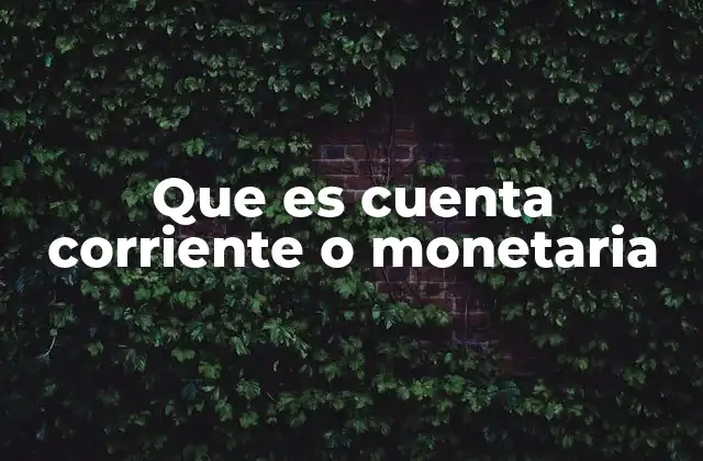 Que es Cuenta Corriente o Monetaria 2 Características principales de una cuenta corriente