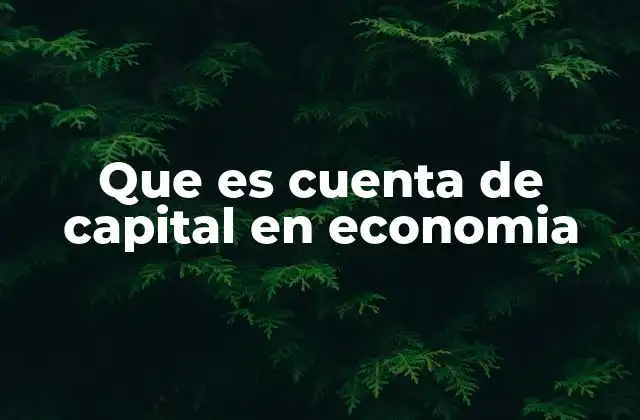 Que es Cuenta de Capital en Economia