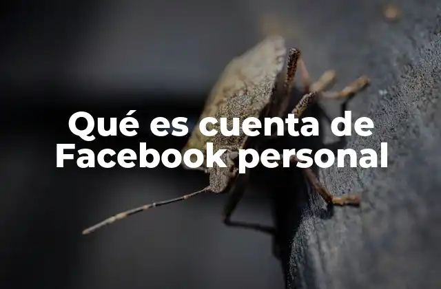 Qué es Cuenta de Facebook Personal