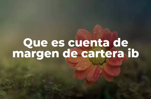 Que es Cuenta de Margen de Cartera Ib