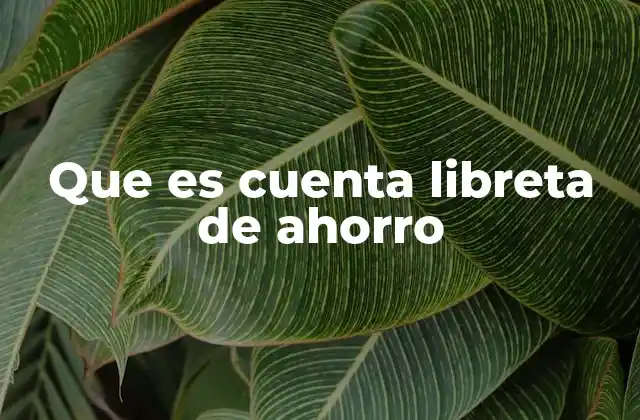 Que es Cuenta Libreta de Ahorro