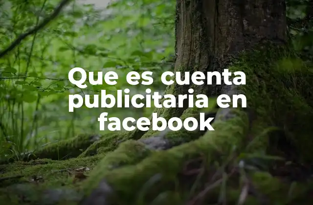 Que es Cuenta Publicitaria en Facebook