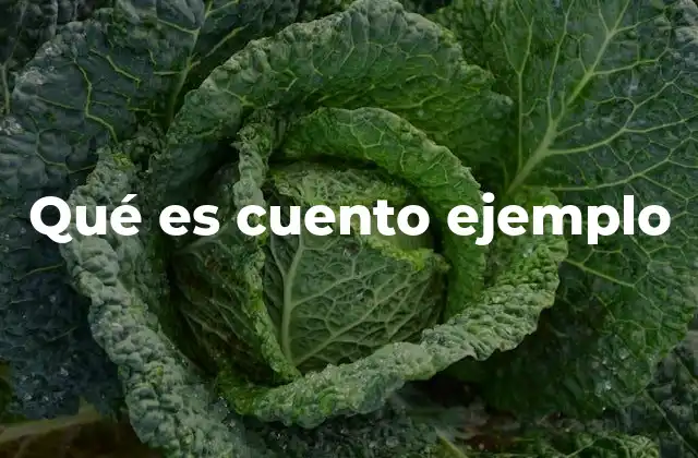 Qué es Cuento Ejemplo