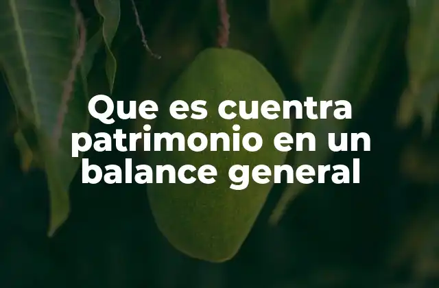 Que es Cuentra Patrimonio en un Balance General