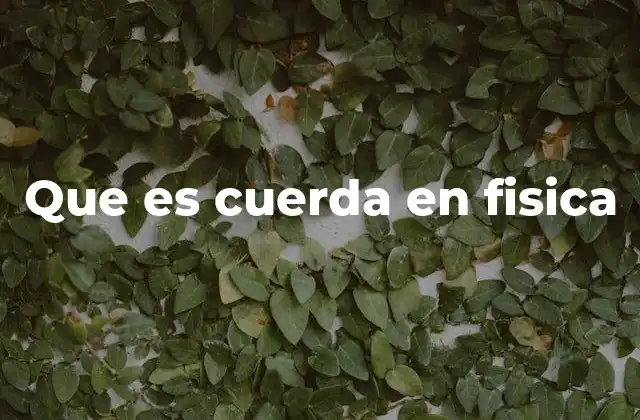 Que es Cuerda en Fisica