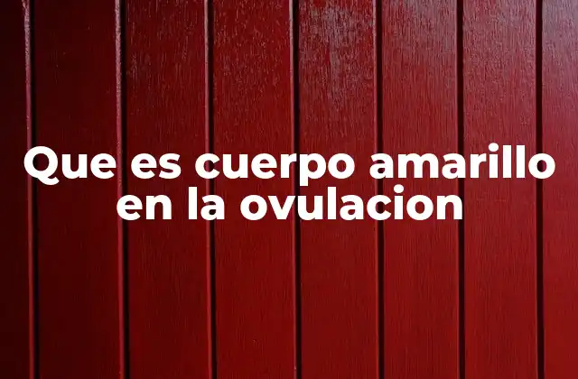 Que es Cuerpo Amarillo en la Ovulacion