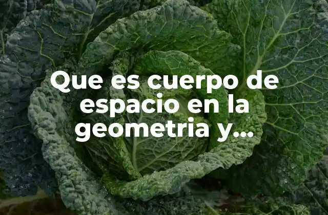 Que es Cuerpo de Espacio en la Geometria y Trigonometria