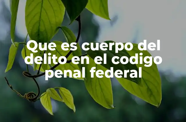 Que es Cuerpo Del Delito en el Codigo Penal Federal