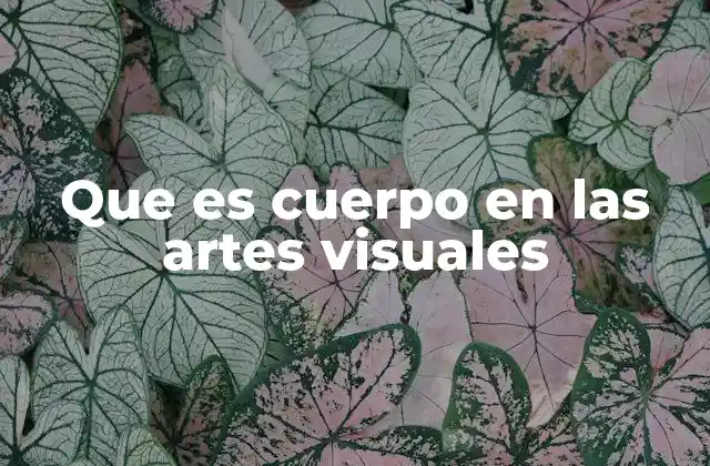 Que es Cuerpo en las Artes Visuales
