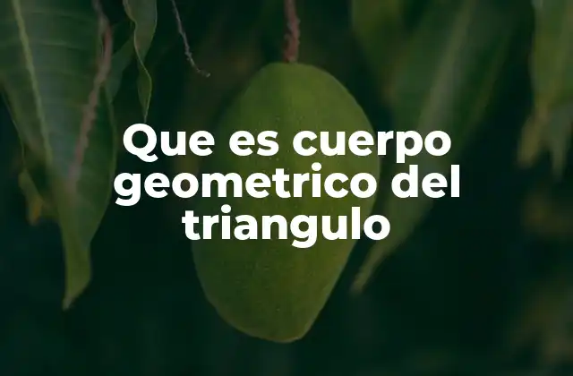 Que es Cuerpo Geometrico Del Triangulo