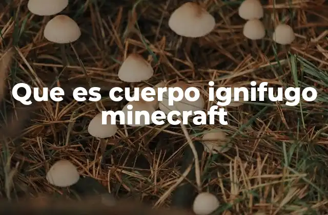 Que es Cuerpo Ignifugo Minecraft 2 La importancia de la resistencia al fuego en el juego