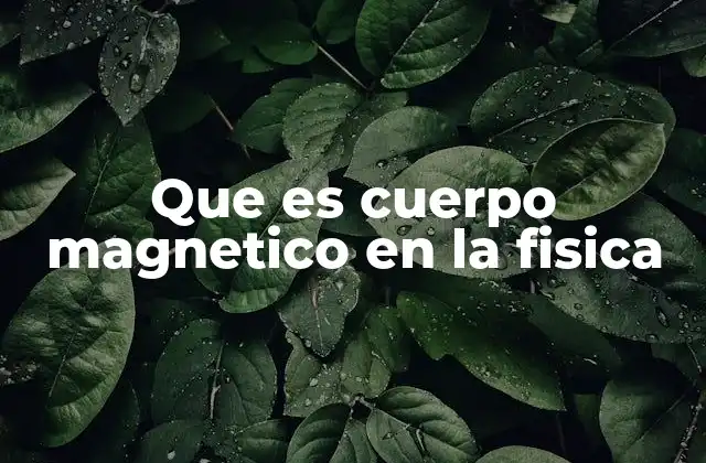 Que es Cuerpo Magnetico en la Fisica